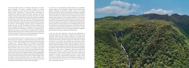 Sample pages for web Sinharaja The Rain Forest lowres_pages-to-jpg-0003