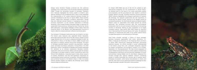 Sample pages for web Sinharaja The Rain Forest lowres_pages-to-jpg-0004