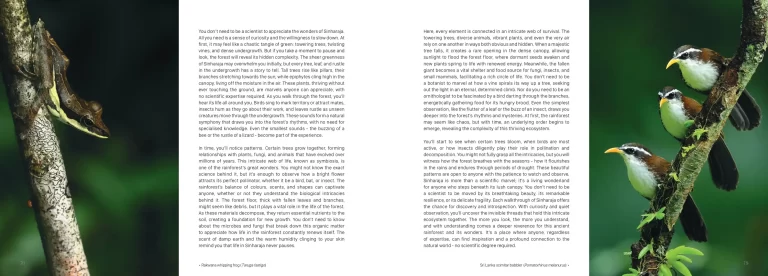 Sample pages for web Sinharaja The Rain Forest lowres_pages-to-jpg-0006