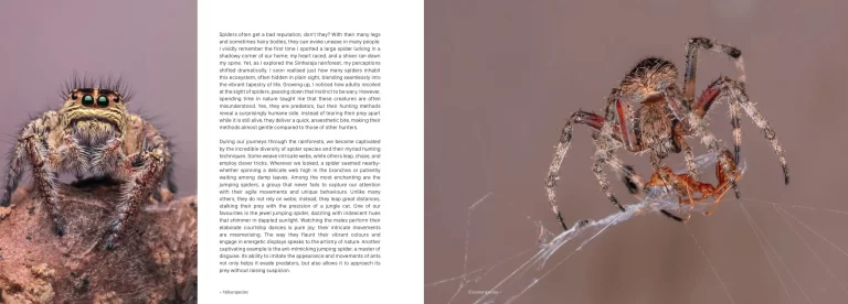 Sample pages for web Sinharaja The Rain Forest lowres_pages-to-jpg-0009